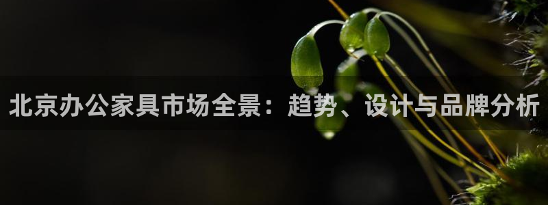 安信12娱乐7o777还