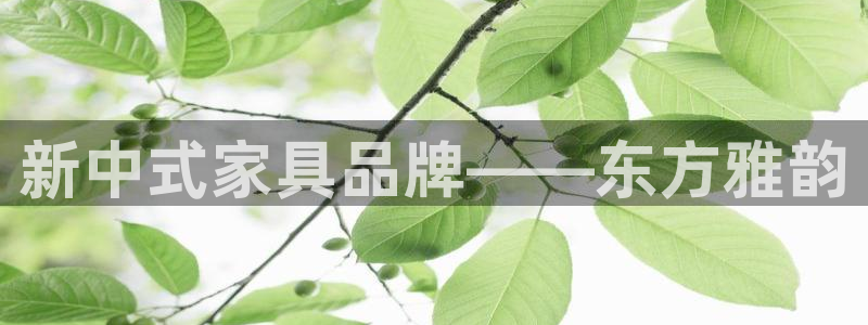 安立信12改装