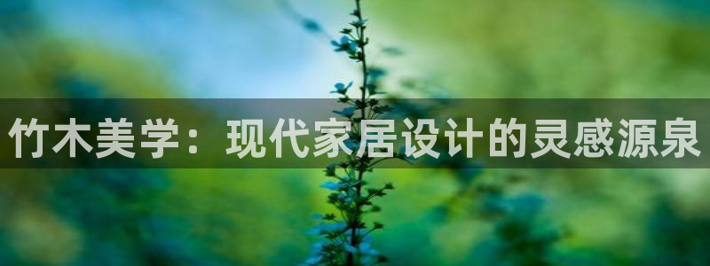 信安12乐打棒