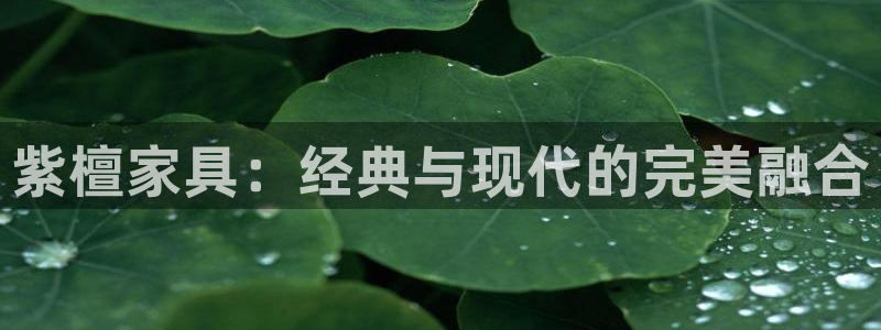 安信12官网
