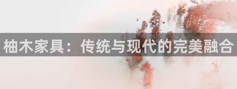 安信证券 12位