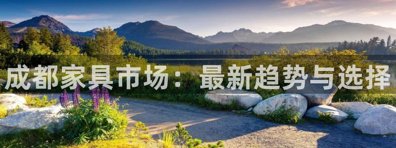 安信12平台介绍