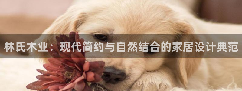 安信12娱乐招商