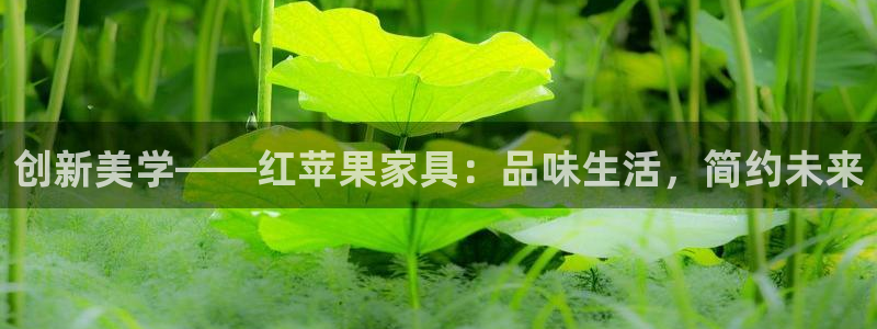 安信12平台怎么样