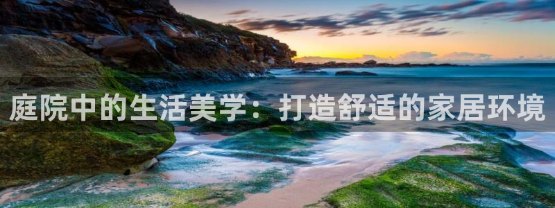 安信12正版下载