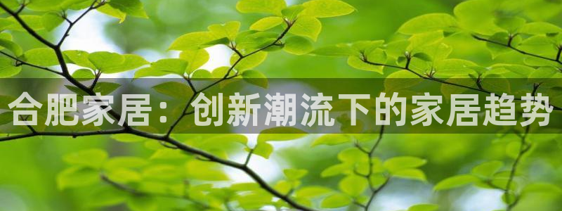 安信12如何开代理