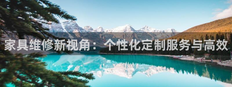 安信卓越12月