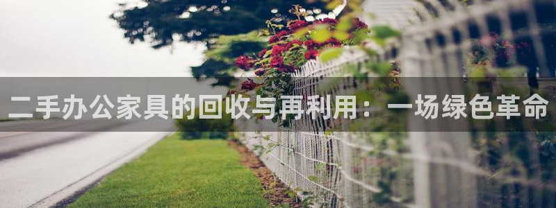 安信12app