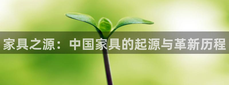 安信12是做什么