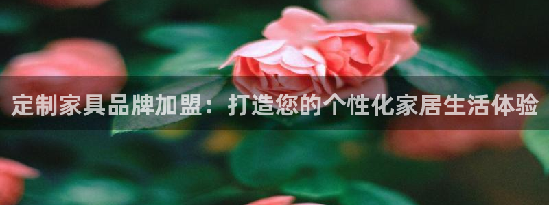 12月安信推荐