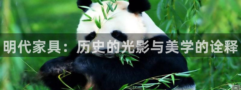 安信12下载