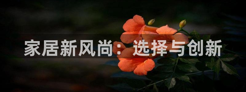 安信12是什么软件