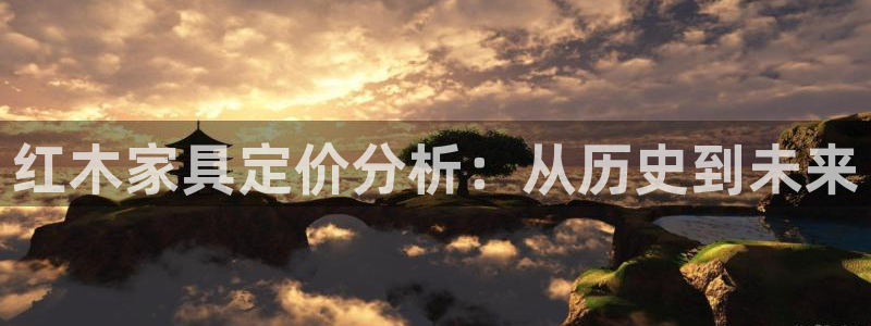 安信t12