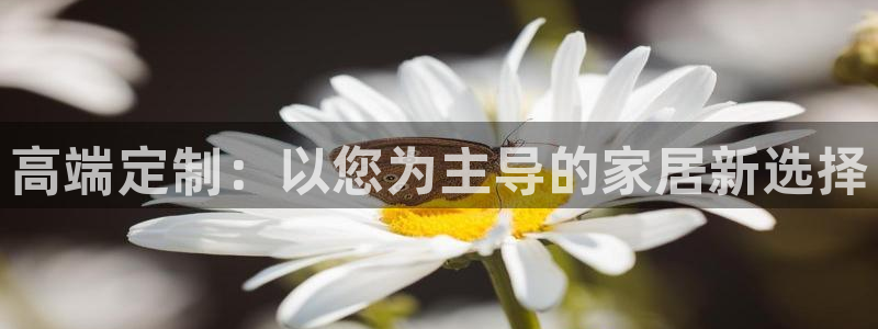 安信12彩票app下载