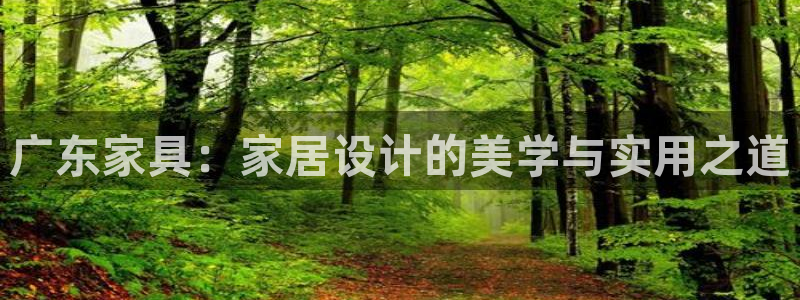 安信安赢12号