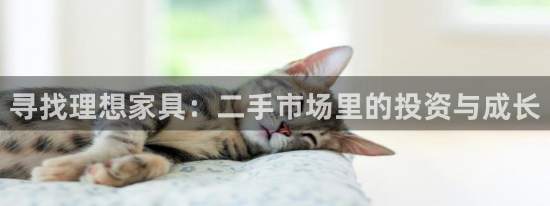 安信cw12系列