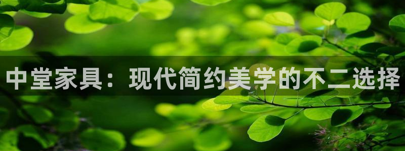 如何注销安信12软件