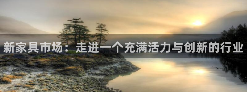 安信312 12