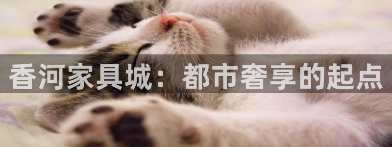 安信12娱乐开户：香河家具城：都市奢享的起点