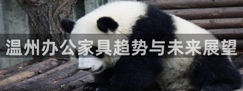 安信12网页版