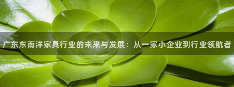 安信12周年庆：广东东南洋家具行业的未来与发展：从一家小企业
