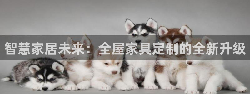安信12网页版