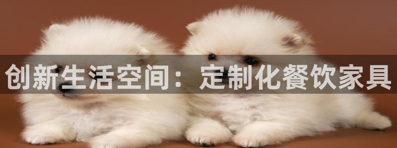安信cwa12