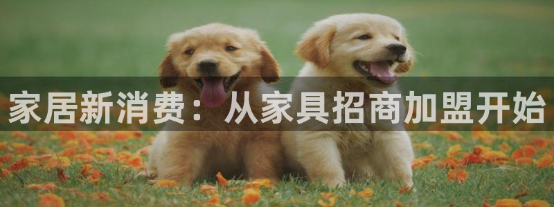 安信12下载