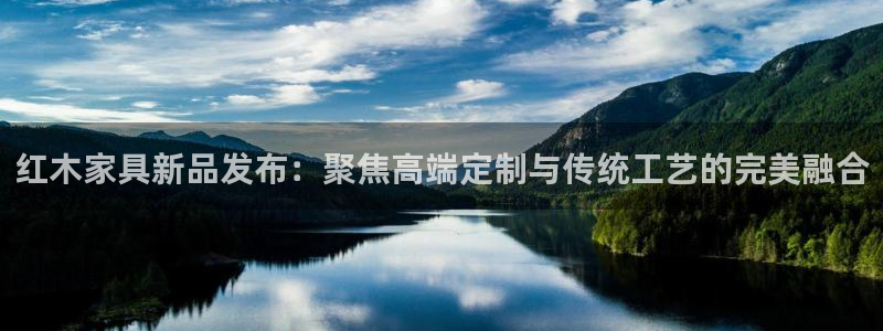 安信12是什么软件