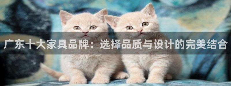 安信12平台官网