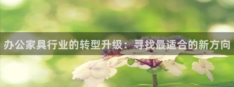 安信安盈12最新消息