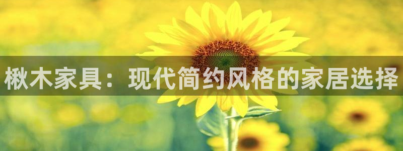 安信12官方网站查询