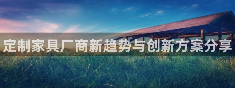 安信可wb12