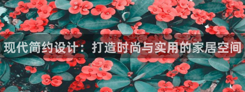 安信12是什么软件