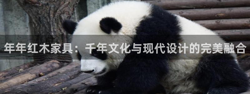 安信可f12