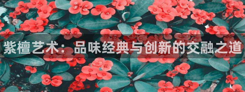 安信t12