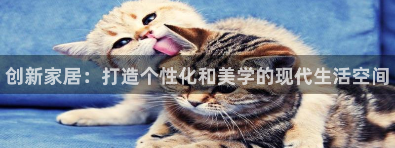 安信12平台下载