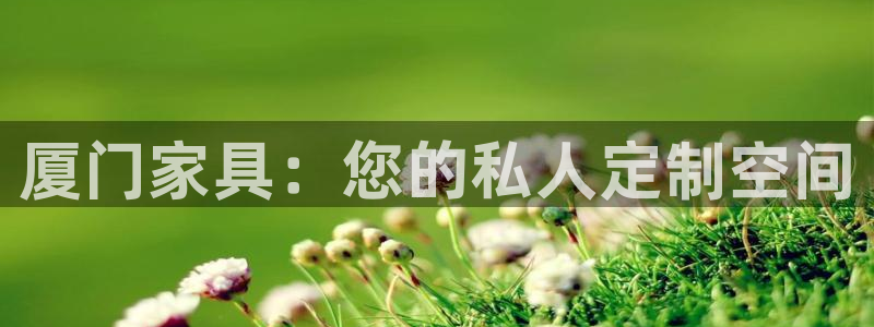 安信12包赔