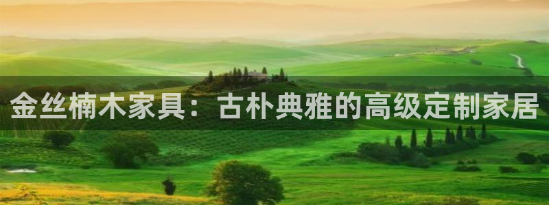 安信12主管