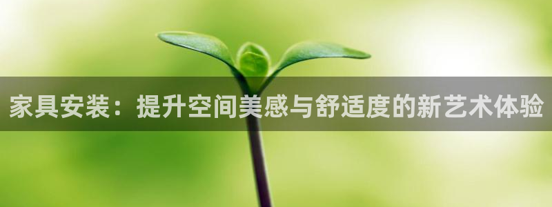 安信12网页版