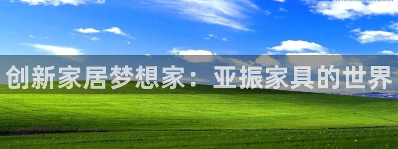 安信12是正规还是仿
