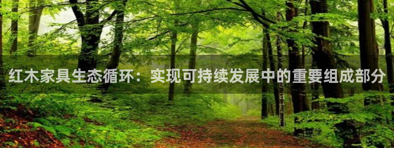 安信12主管