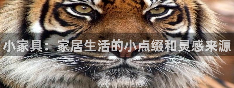 安信招商rk金12手12指jc