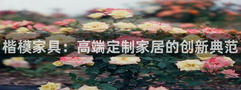 安信12下载