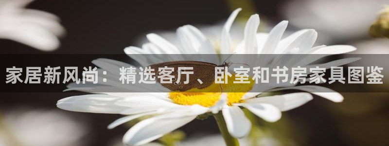 安信12真假