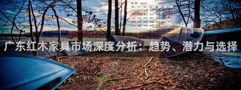 下载安信12