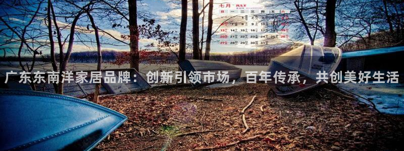 安信12平台介绍
