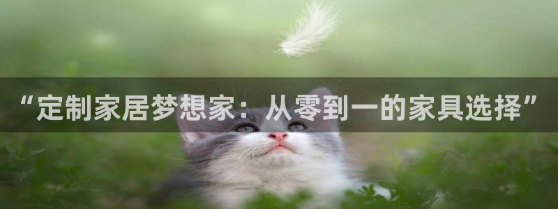 安信12周年
