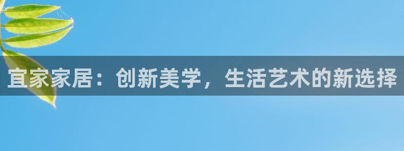 安信12是什么