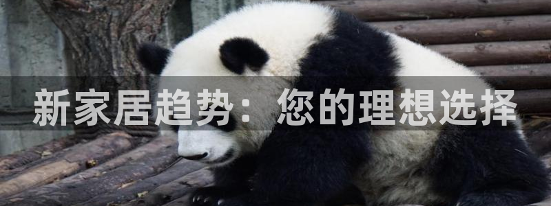 安信12账号